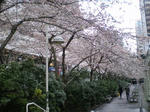 IMGP0631.JPG