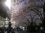 IMGP0858.JPG
