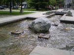 IMGP1895.JPG