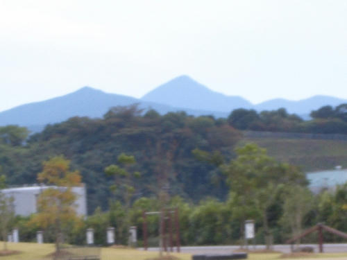 CIMG1347.JPG