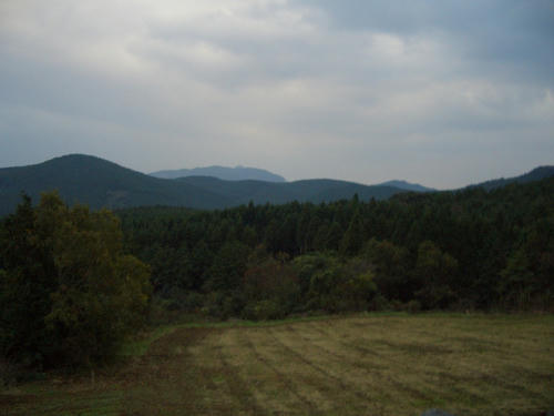 CIMG1437.JPG