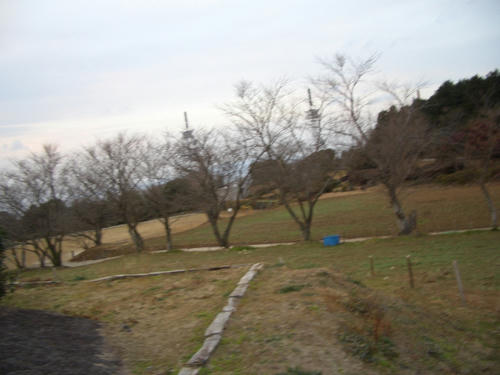 CIMG1543.JPG