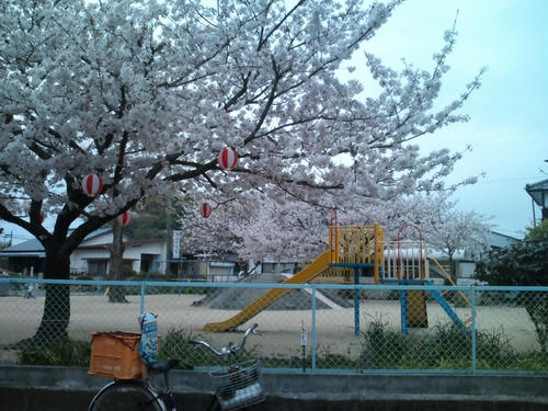 CA3D0003.JPG