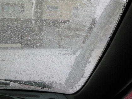 20100204.jpg