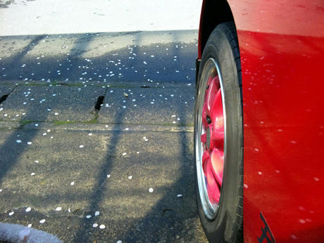 20110505_beat03.jpg