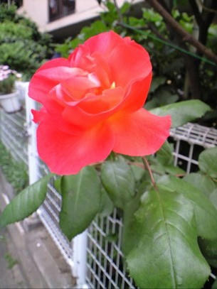 c35f69e3.jpg