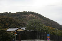 IMG_1538.JPG