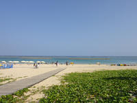 DSC00031.JPG