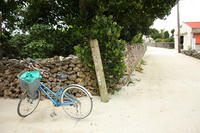 IMG_4470.JPG