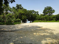 DSC00043.JPG