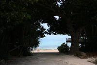 IMG_4486.JPG