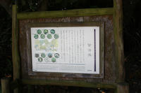 IMG_4490.JPG