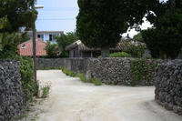 IMG_4563.JPG