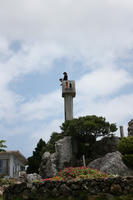 IMG_4568.JPG
