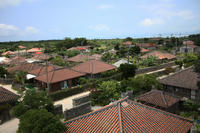 IMG_4573.JPG