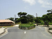 DSC00061.JPG