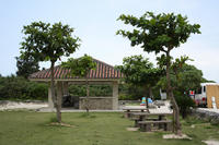 IMG_4525.JPG