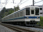 8162.jpg