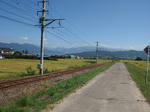 yagisawa7.jpg