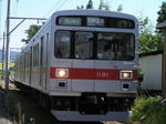 yagisawa9.jpg