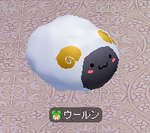 ウールン