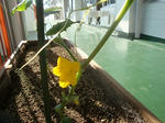 DSC03459.jpg