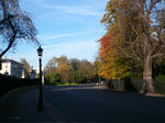 Regent Park2