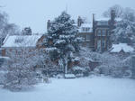snow1