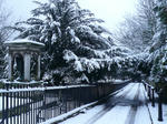snow4