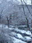 snow5