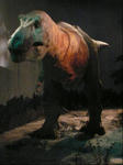 Trex