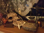 101031_2.jpg