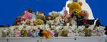 110331_2.jpg