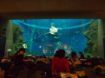 120312e.jpg