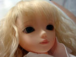 DSC00772.JPG
