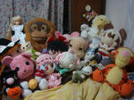 DSC01049.JPG