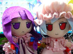 DSC01145.JPG