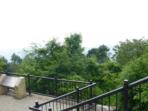 P1020577-2.jpg