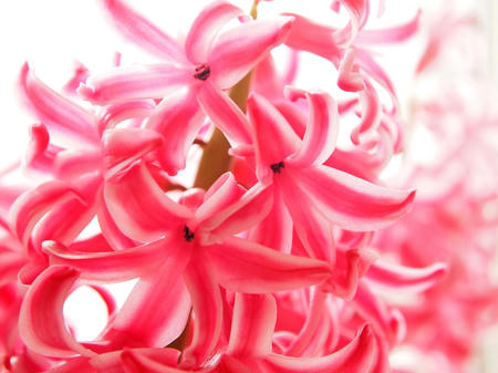 20110218_01.JPG