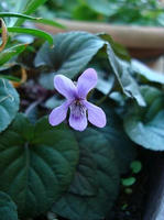 DSC02027-45.JPG