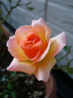 DSC01995-30.JPG