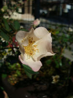 DSC01990-45.jpg