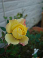 DSC01800-45.JPG