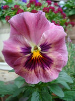 DSC02128-45.JPG