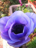 CIMG0516-45.JPG
