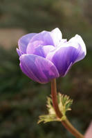 DSC04410-45.JPG