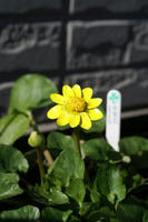 DSC04402-55.JPG