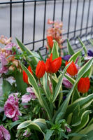 DSC04432-45.jpg