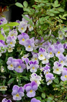 DSC04424-45.jpg