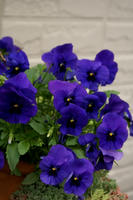 DSC04429-45.jpg